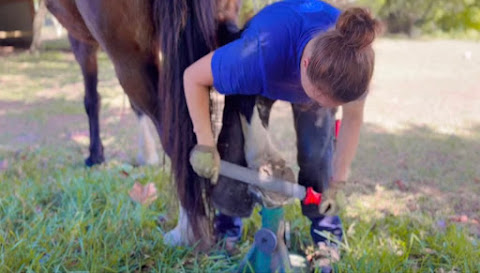 Rasping a hoof on a stand